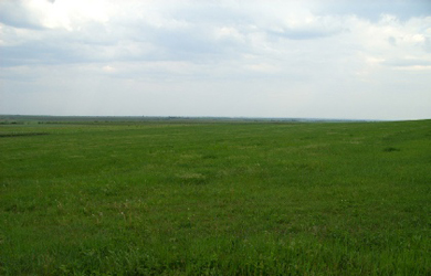 Dražba pozemku, Dolná Streda, okres Galanta